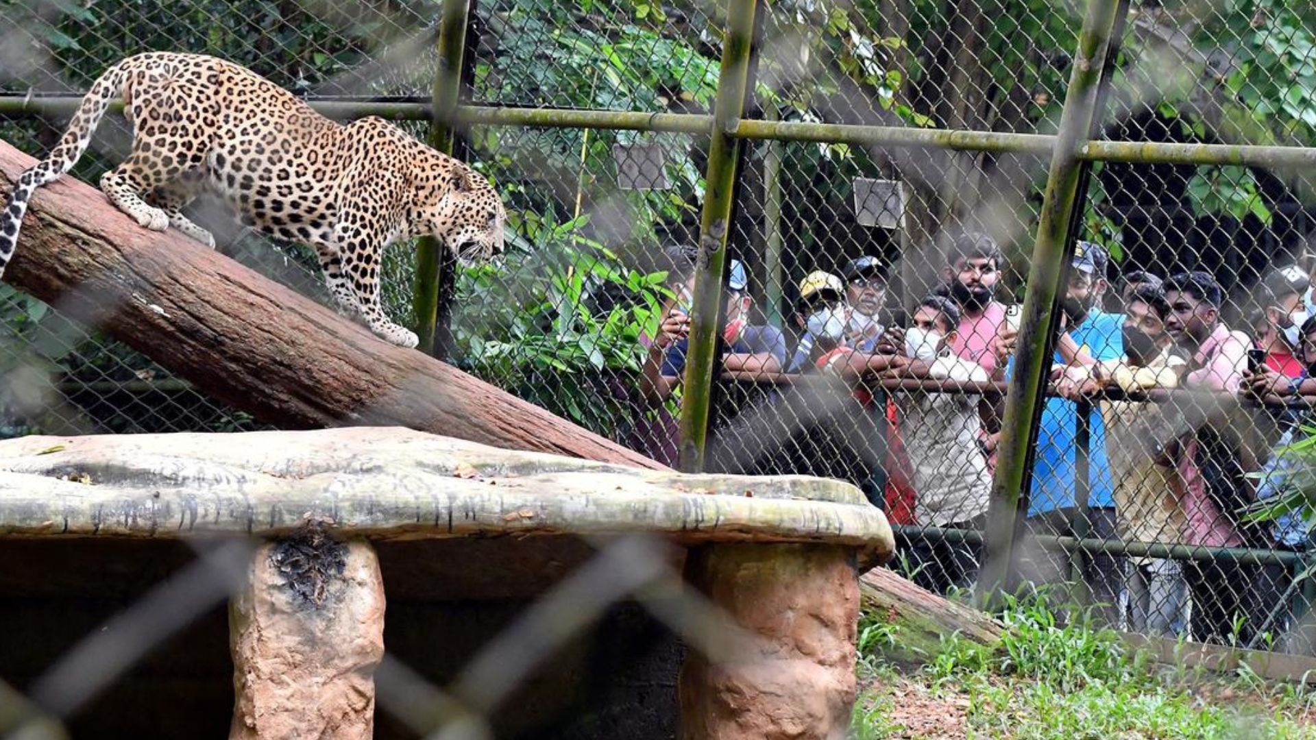 thiruvananthapuram-zoo