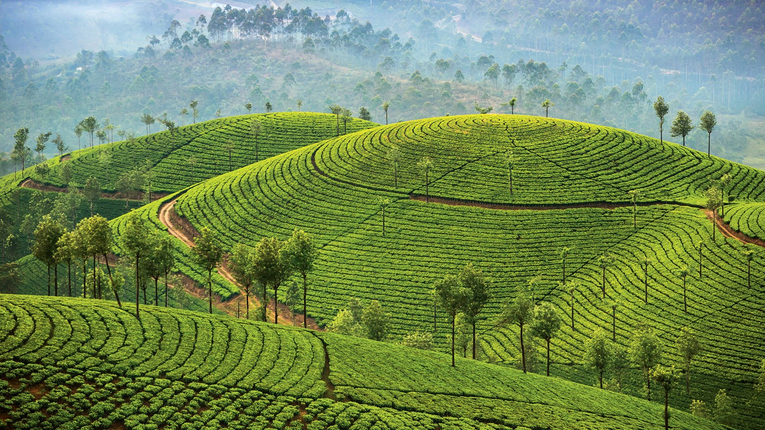Kerala-peaks-1.jpg?profile=RESIZE_930x