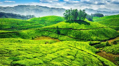 Best places to visit in Munnar