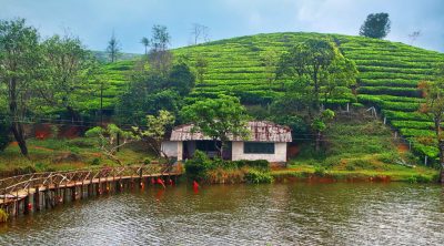 Things to do in Vagamon