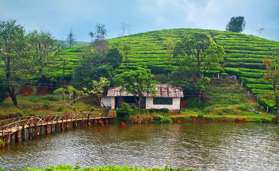 7 Best things to do in Vagamon