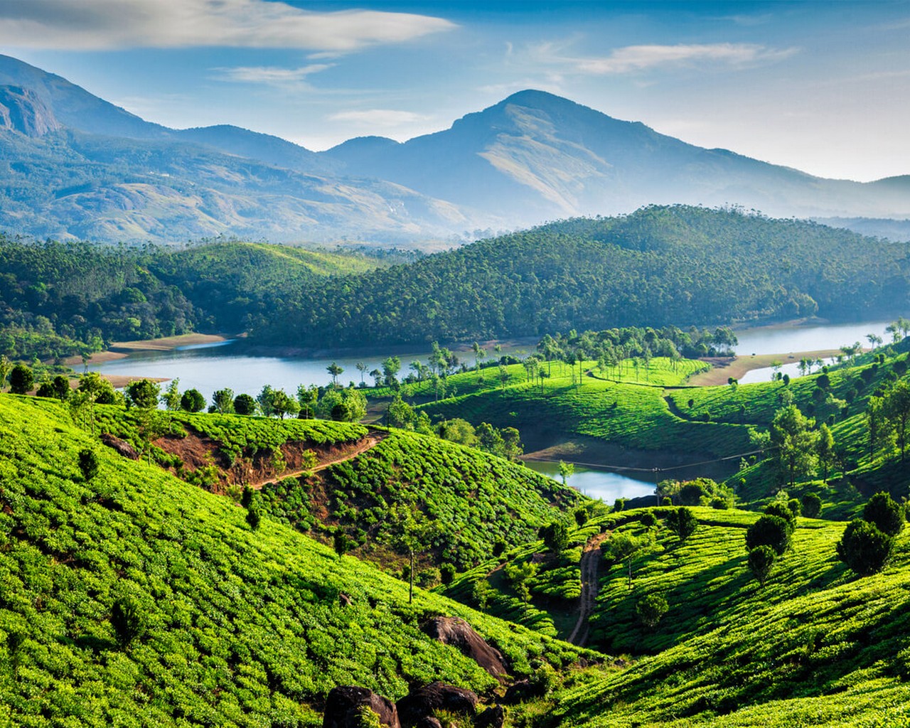 Best time to visit Kerala (updated for 2023) -Temperature, Weather and Climate