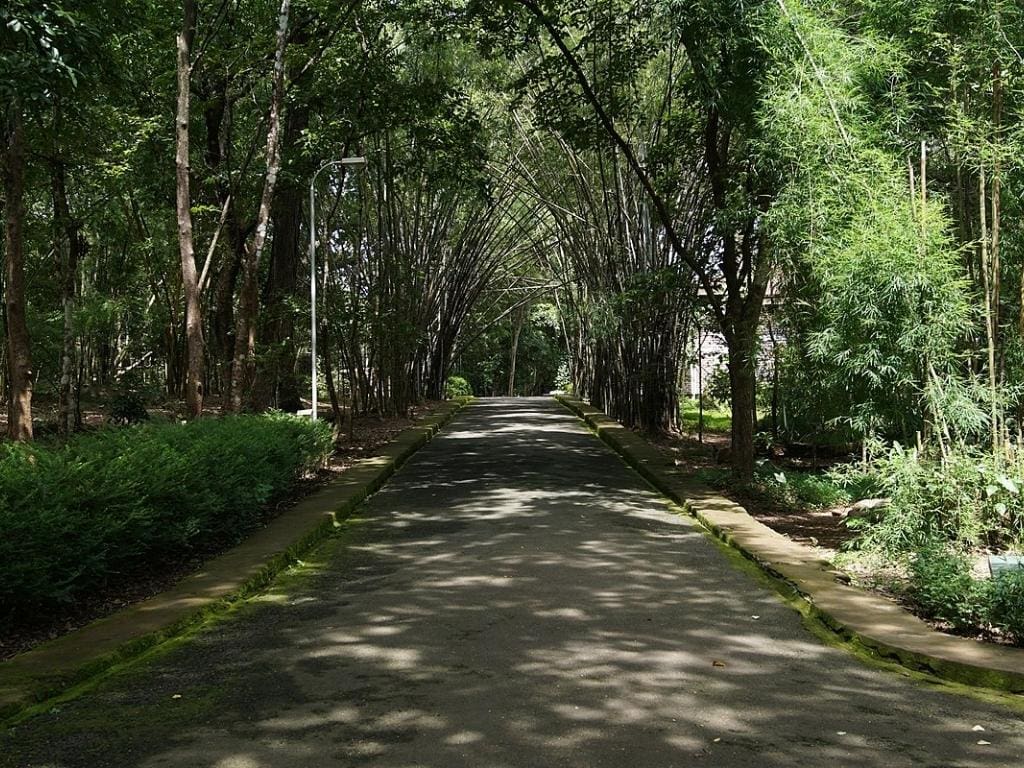 Teak Museum image