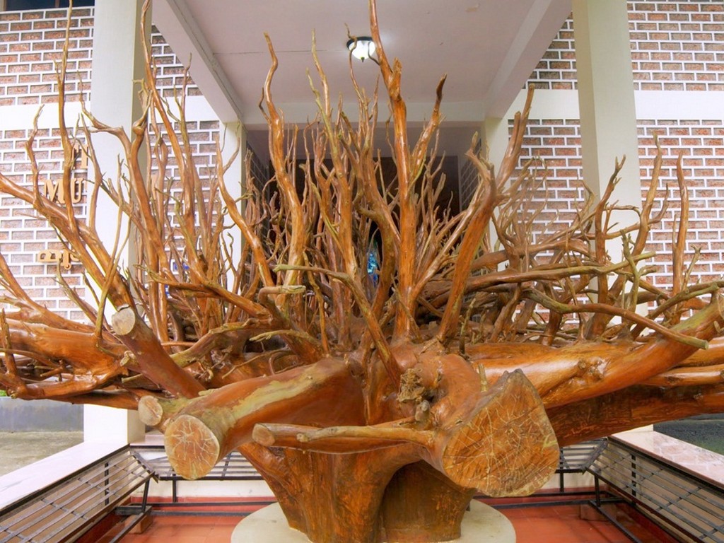 nilambur-teak-museum