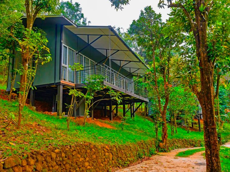 wayanad wild - rainforest lodge