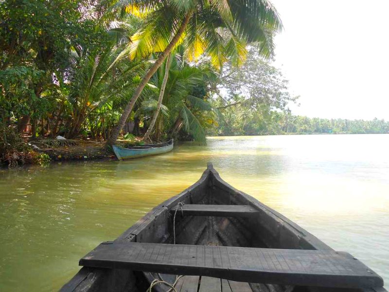 Canal Cruise in the Lap of Nature in Munroe Island
