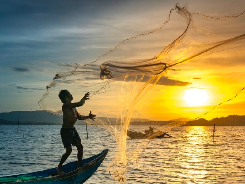 fisherman dropping nets to catch fishes