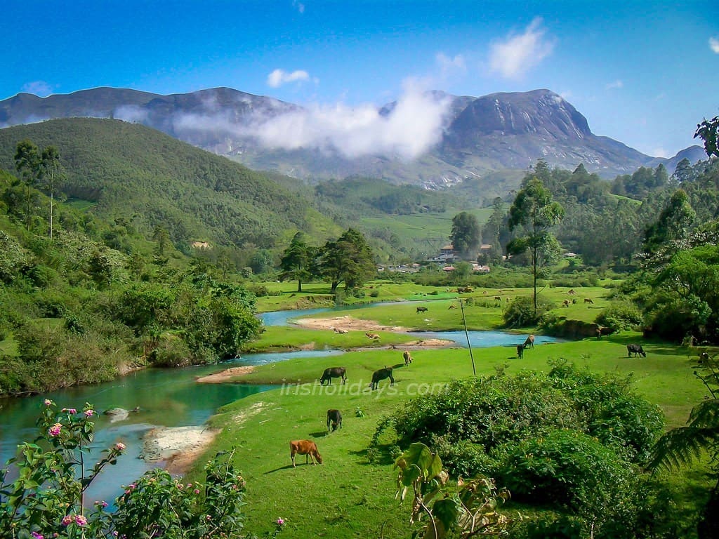 Anamudi Peak, Munnar, Kerala, India