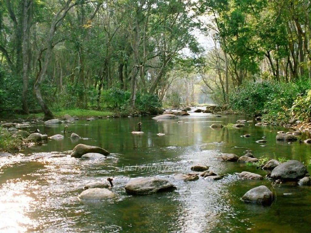 chinnar-wildlife-sanctuary-munnar