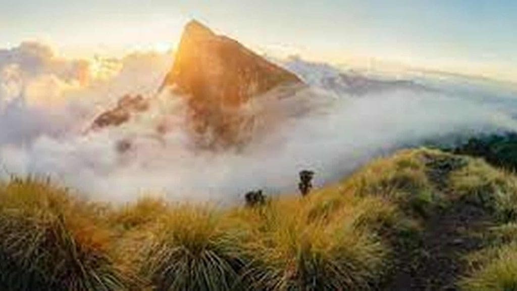 meesapulimala-munnar