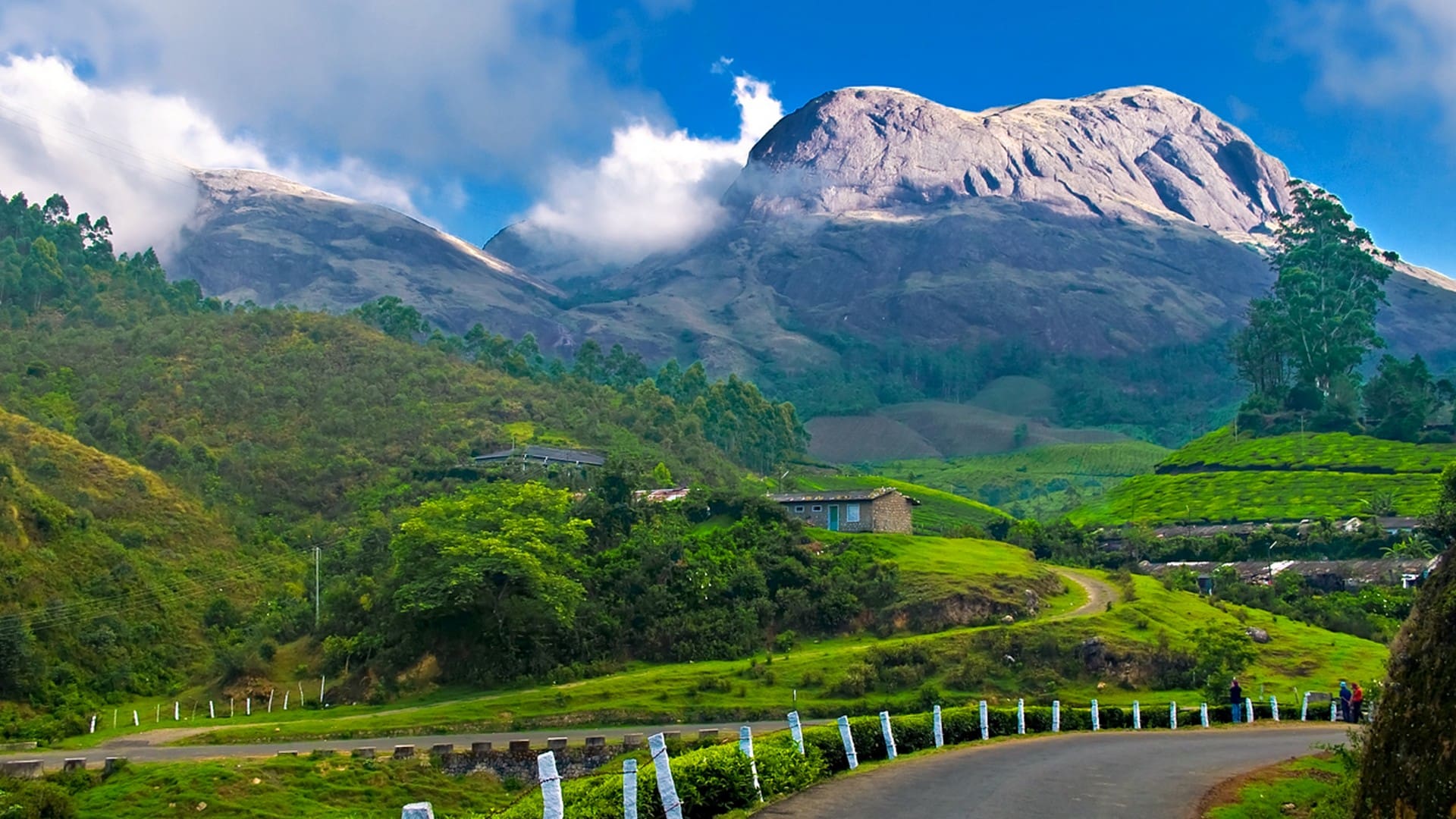 munnar-hillstation-kerala