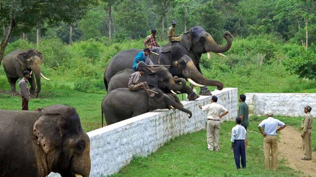 Nearest railway station to coorg iris holidays