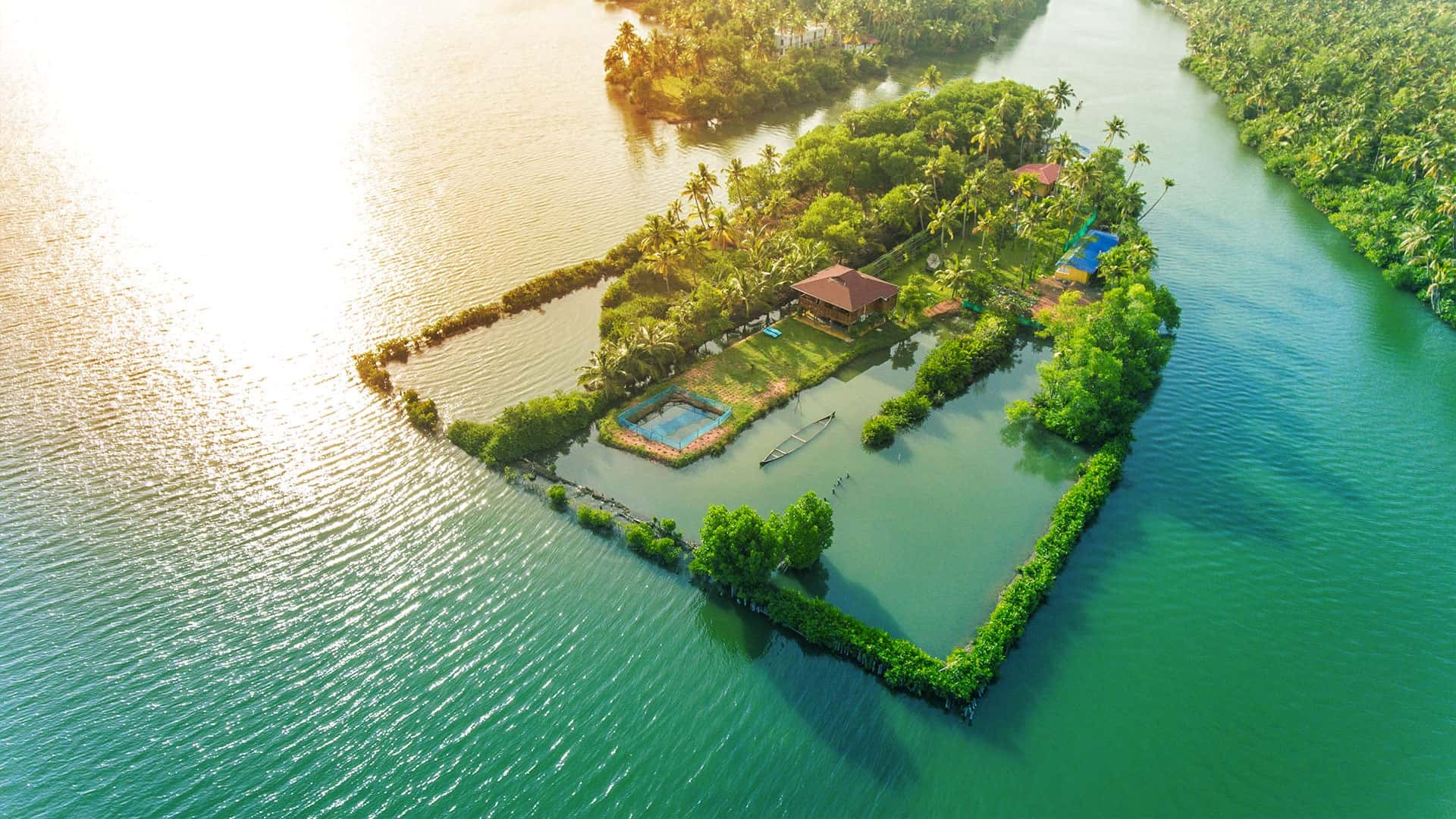 Top 10 Best Honeymoon Resorts in Kerala (2024 Edition)