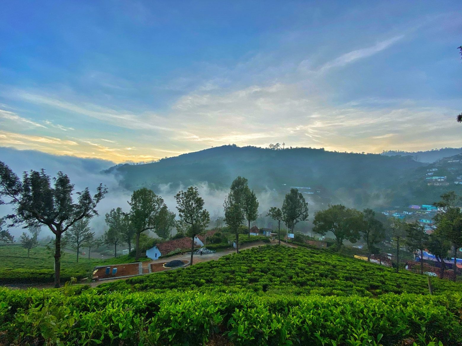 10 Best Things To Do In Ooty, The Queen Of Hills! - Iris Holidays