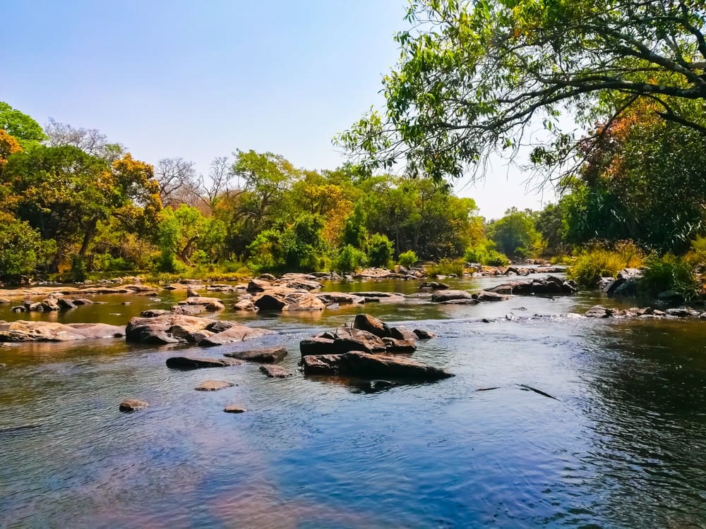 Kuruva Island Wayanad