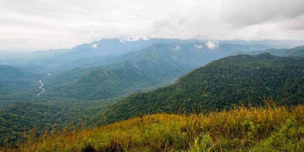 Neelimala View Point Wayanad