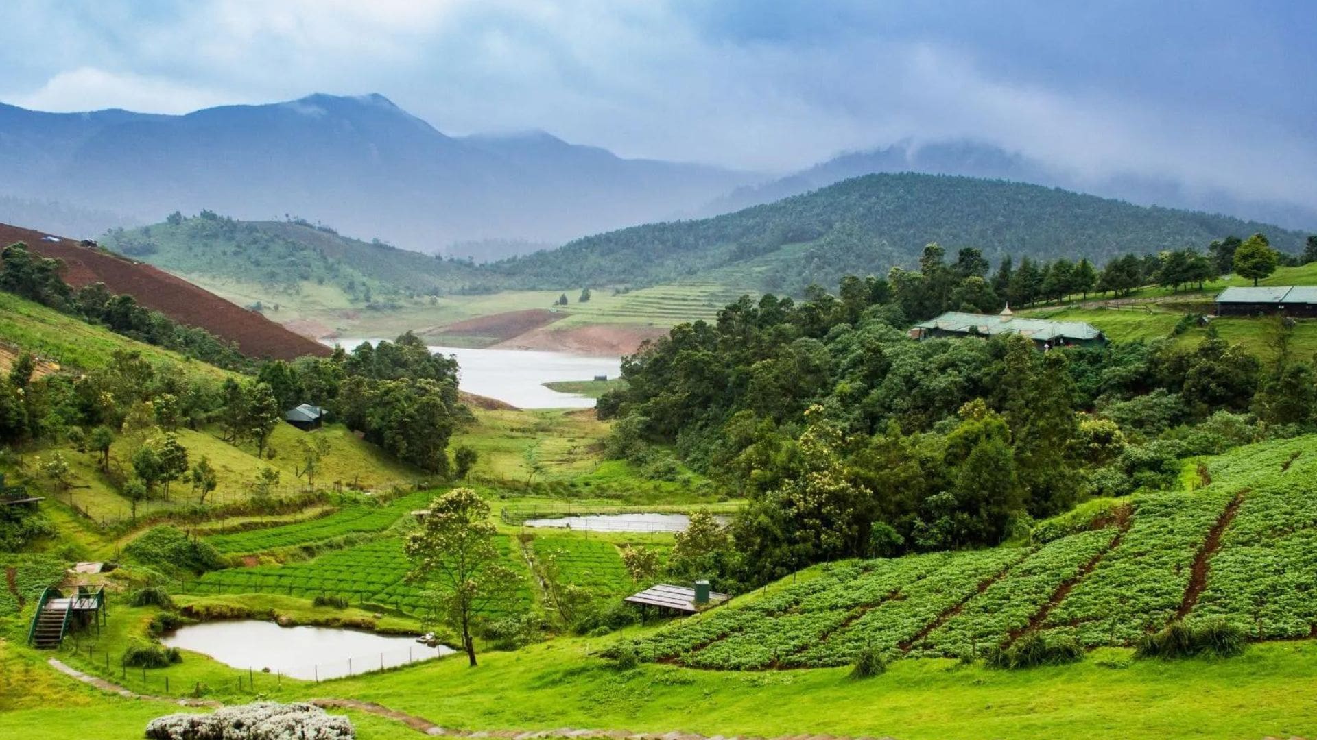 Ooty Or Kodaikanal, Which Is Best? Compare And Pick Your Next Holiday ...