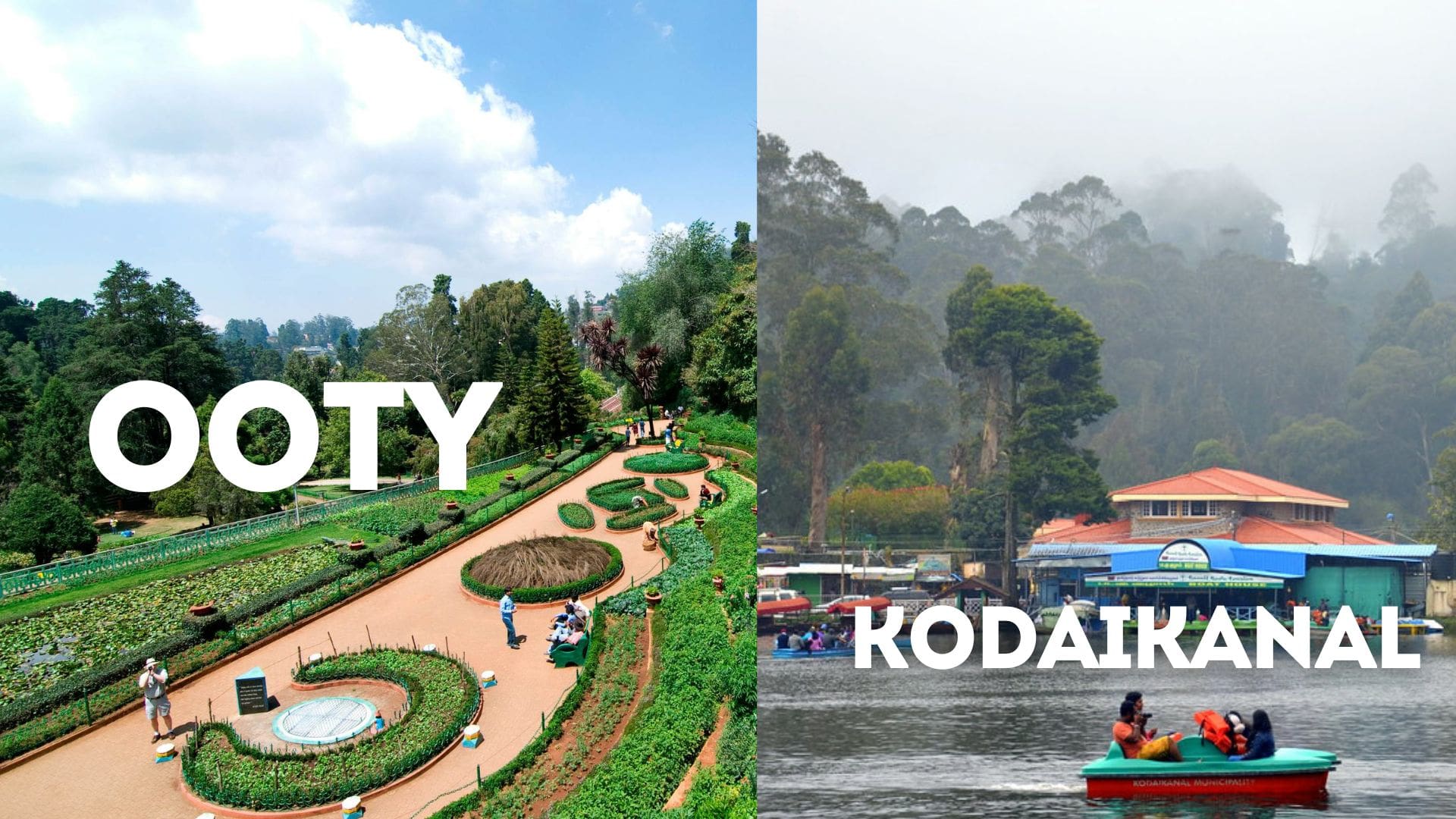 Ooty Or Kodaikanal, Which Is Best? Compare And Pick Your Next Holiday ...