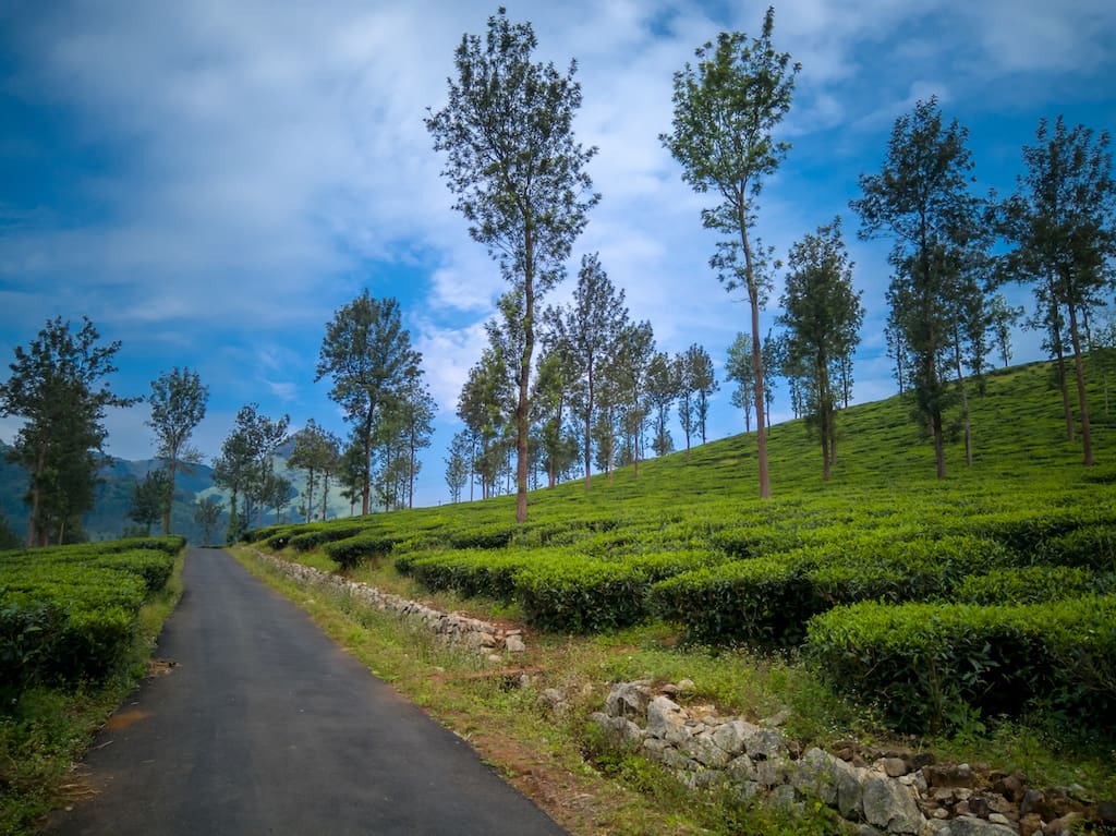 15 Most Fascinating Places To Visit In Wayanad In 2024