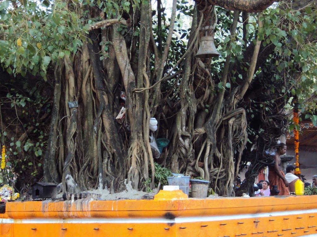 Templo Oachira en Kollam