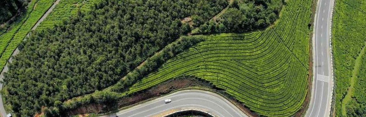 gap-road-munnar