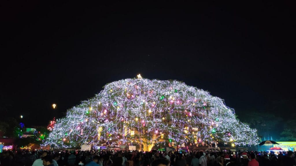 xmas-tree-fort-kochi