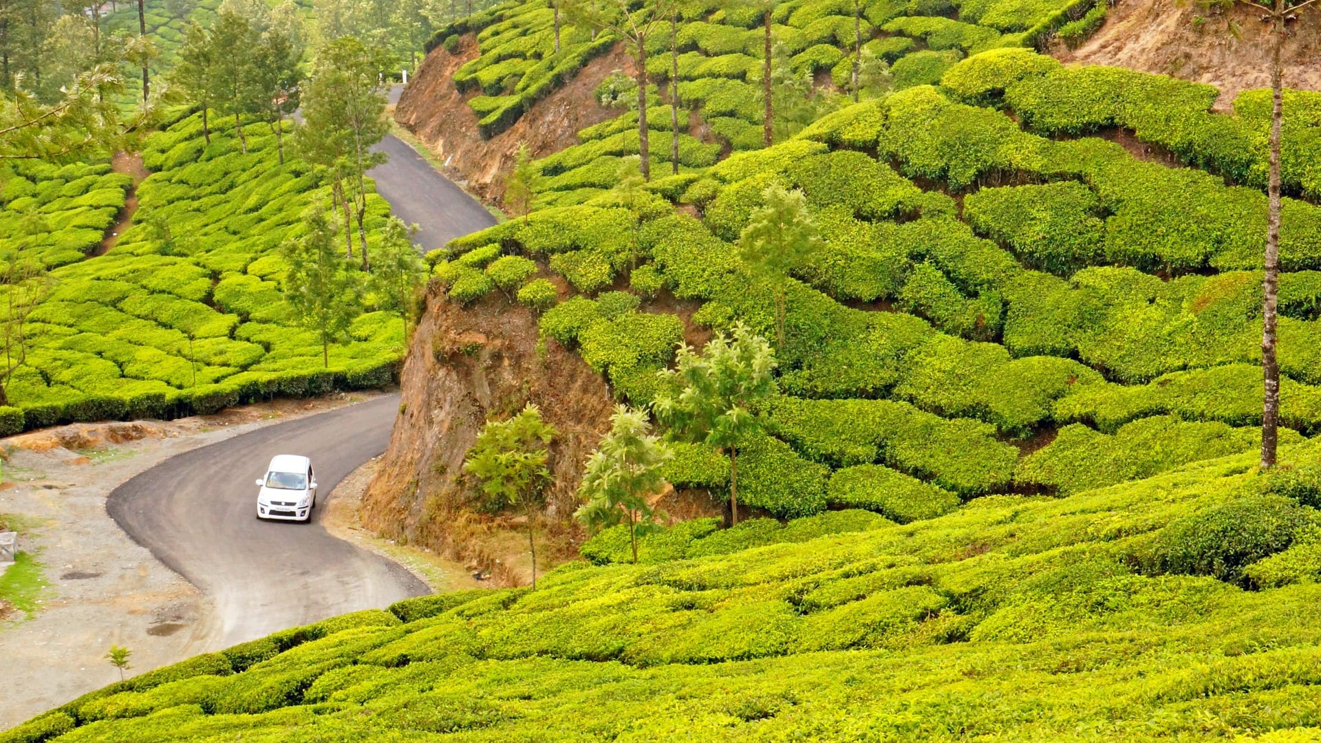 Munnar To Alleppey-Routes, Distance, Travel Time & Tips