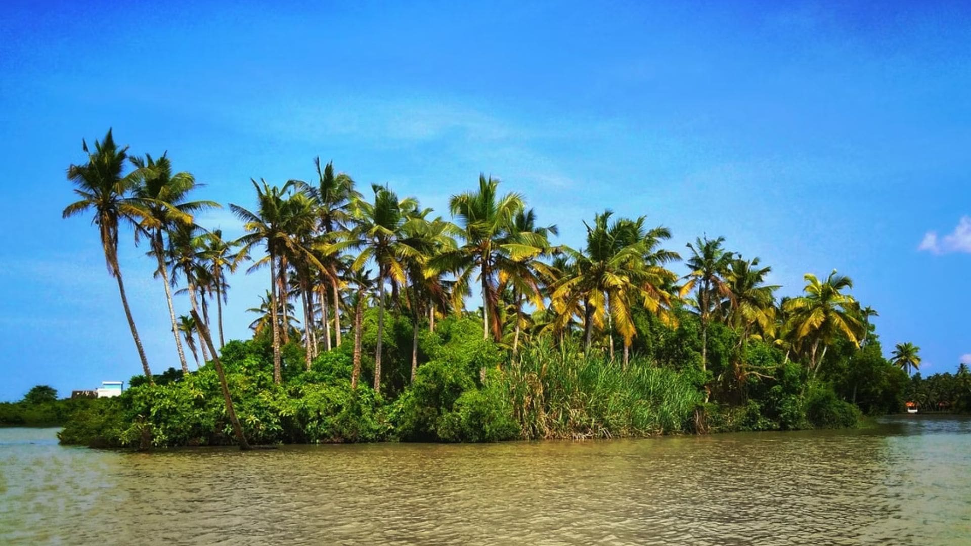 Pathiramanal-Island-Alleppey.