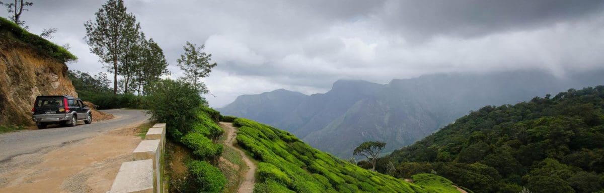 lockhart-gap-munnar