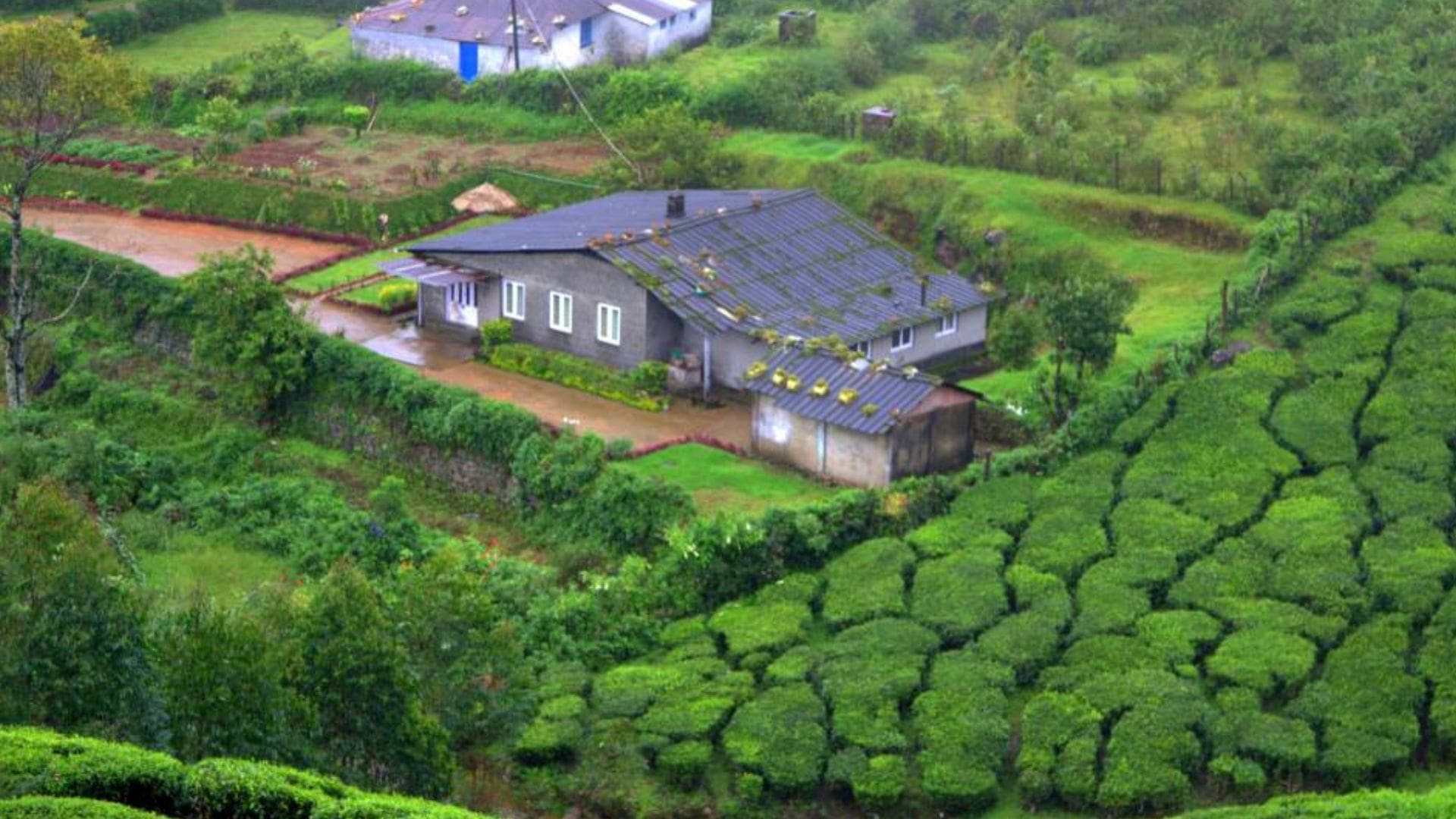 lockhart-munnar