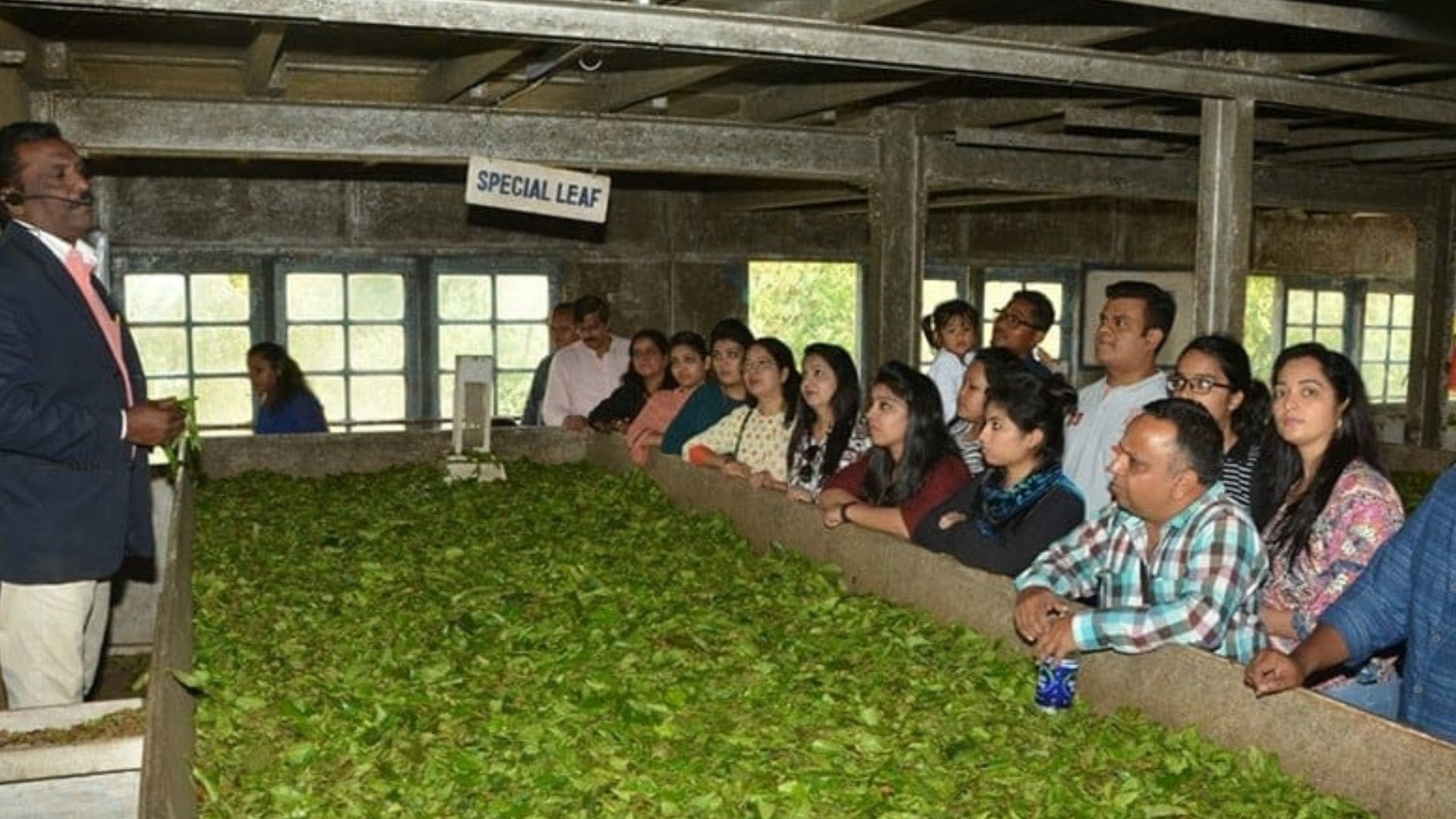 lockhart-munnar-tea-factory