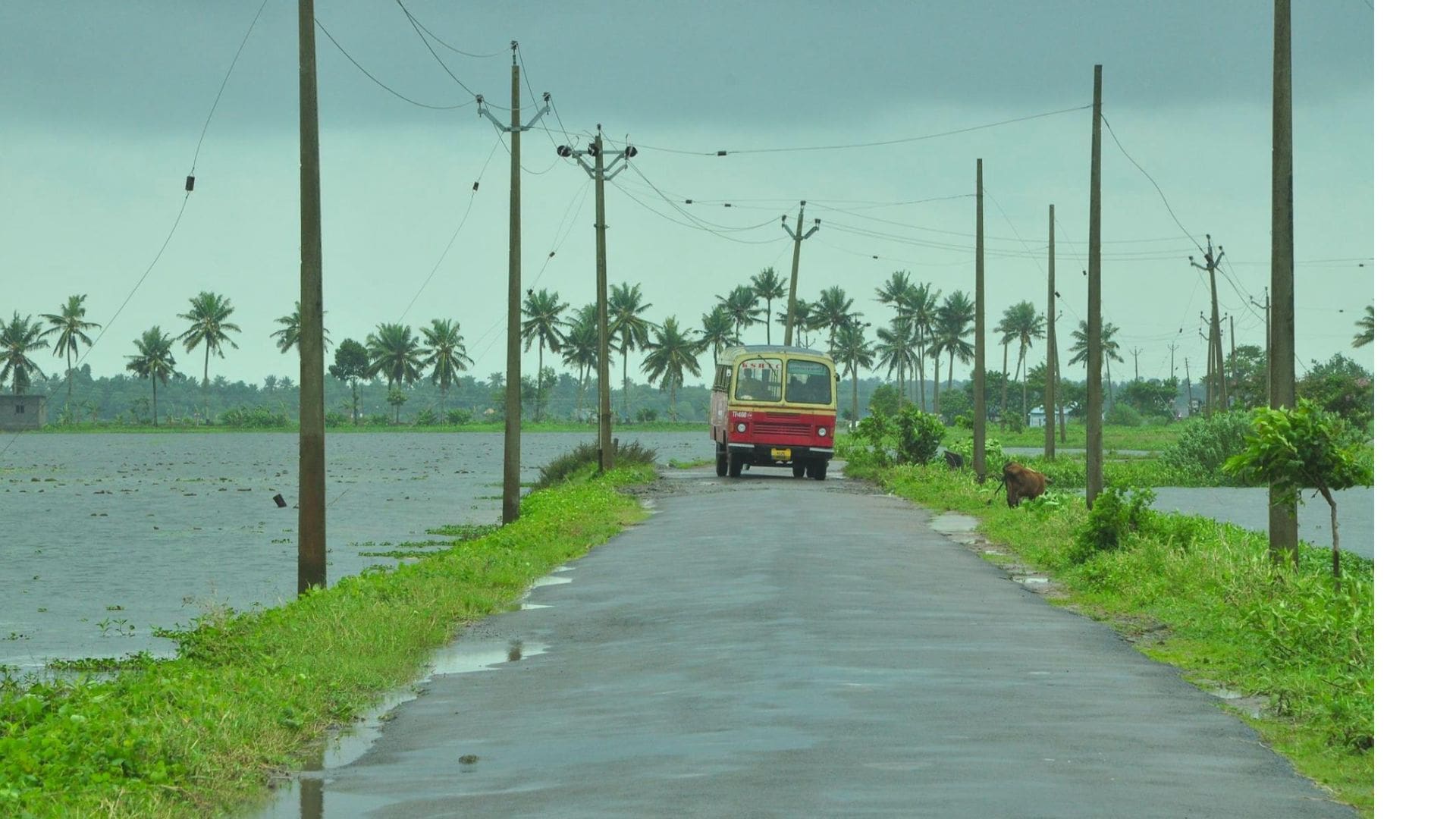 Driving in Kerala- Guide for International Guests