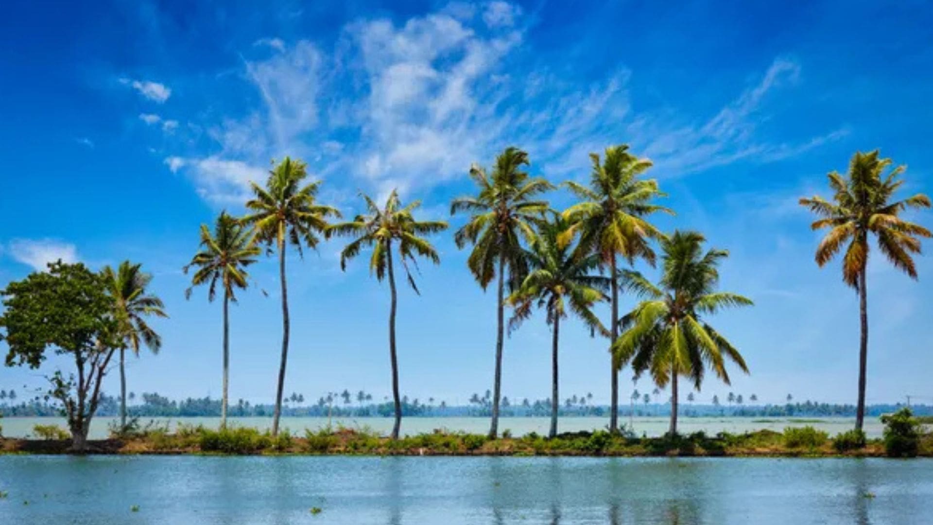 kerala-gods-own-country