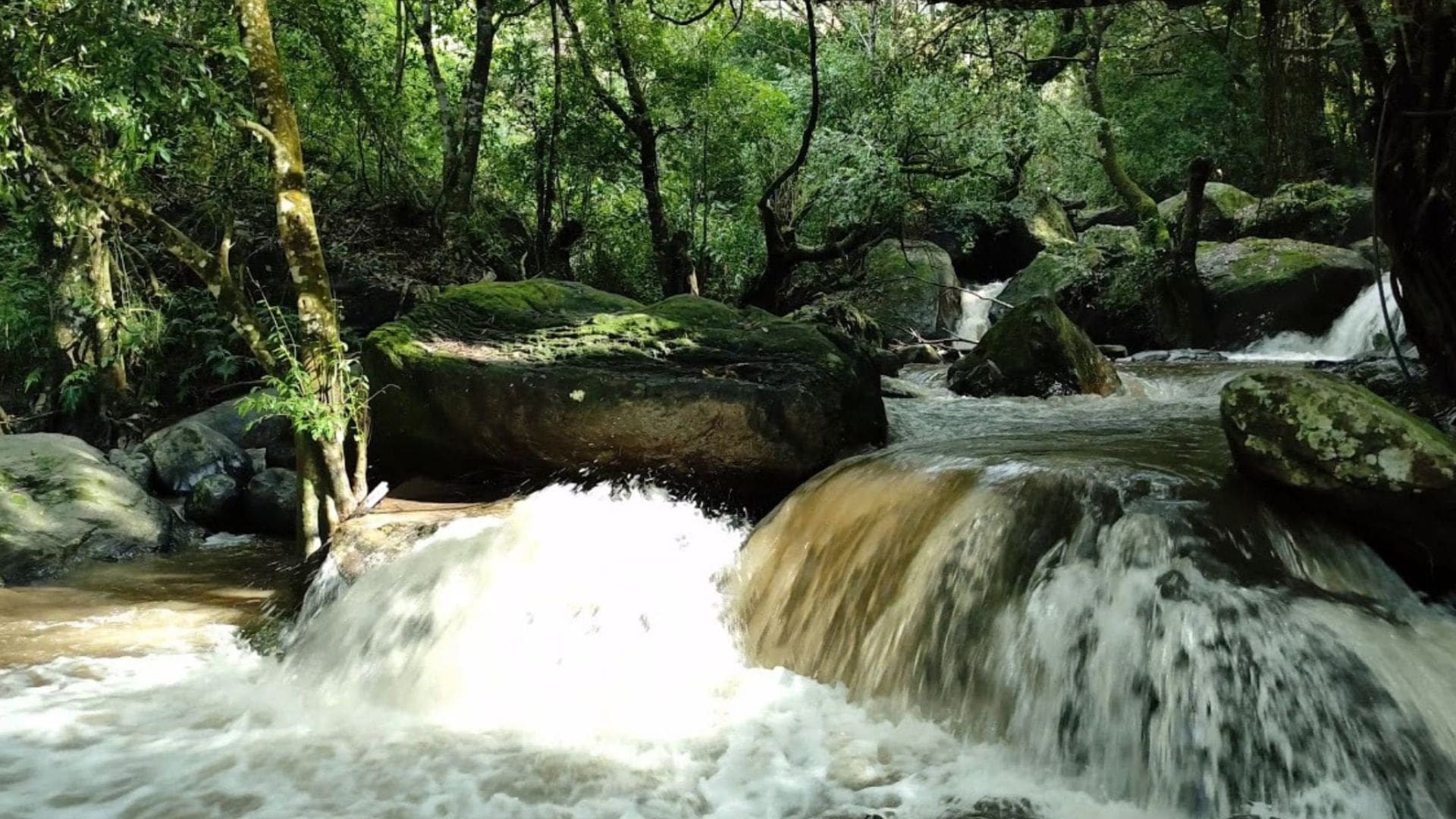 meenachy-waterfall