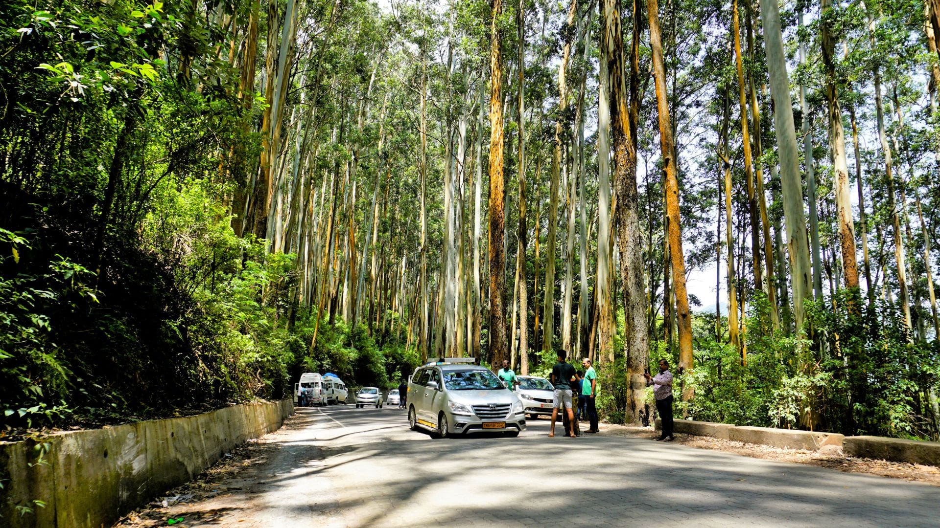 ooty-to-coonoor-road-trip