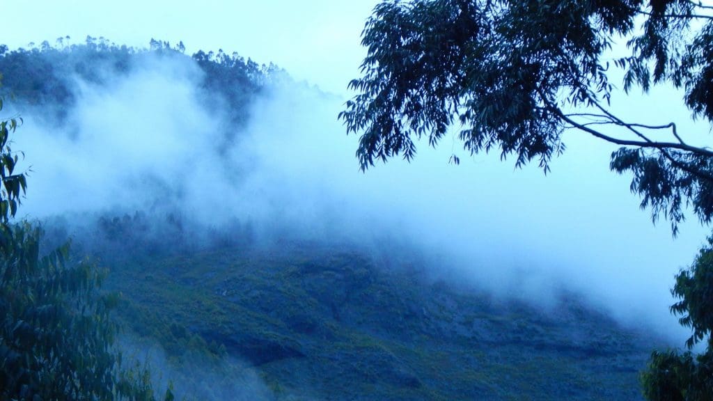 vattavada-mist-clad-mountain
