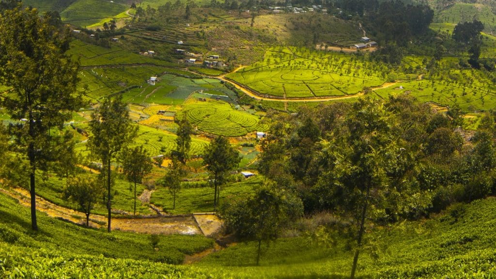 vattavada-munnar-view