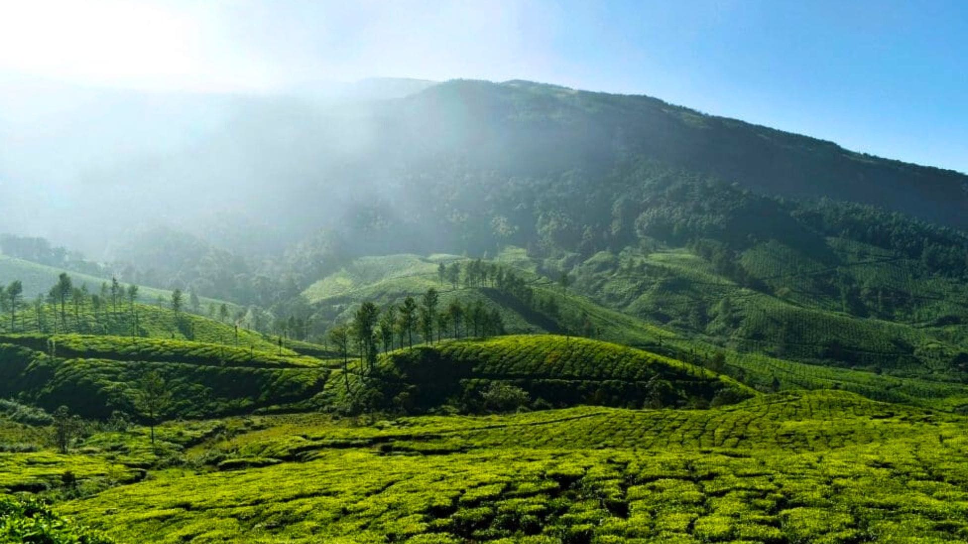 worst-time-to-visit-kerala