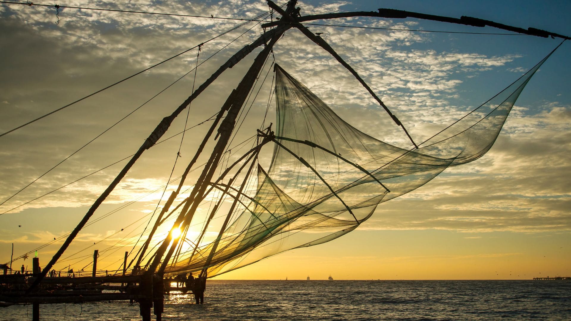 chinese-fishing-net-kochi