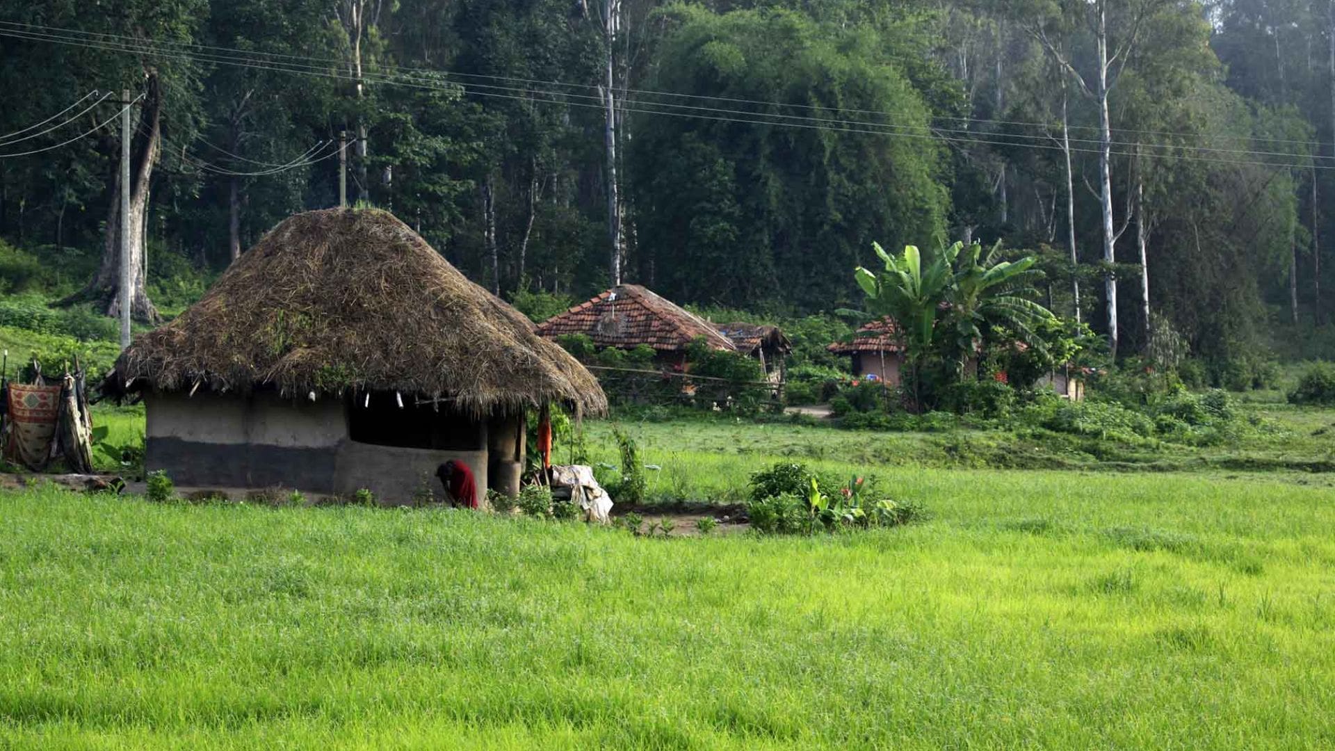En Ooru Wayanad- Entry Fee, Visiting Time and Location