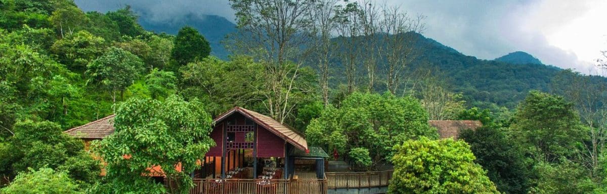 green-magic-treehouse-resort