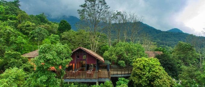 green-magic-treehouse-resort