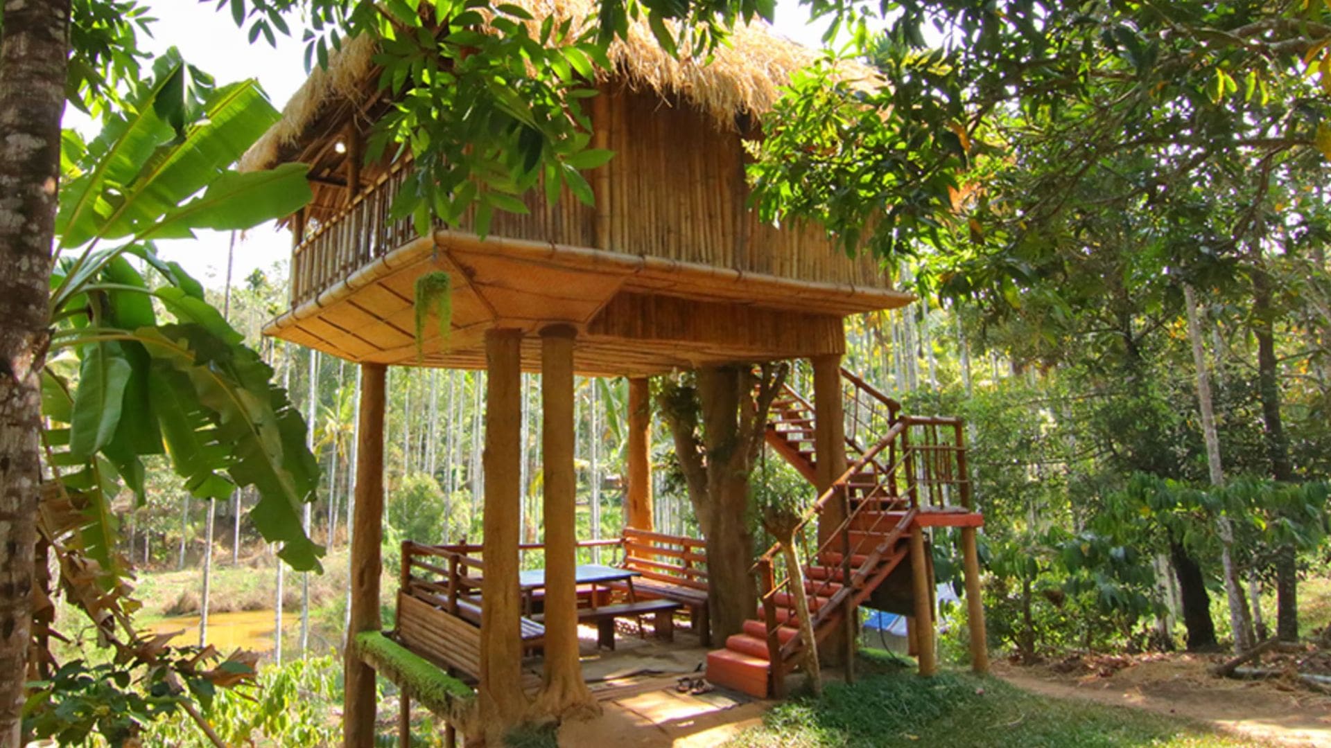 kalidasatree-house