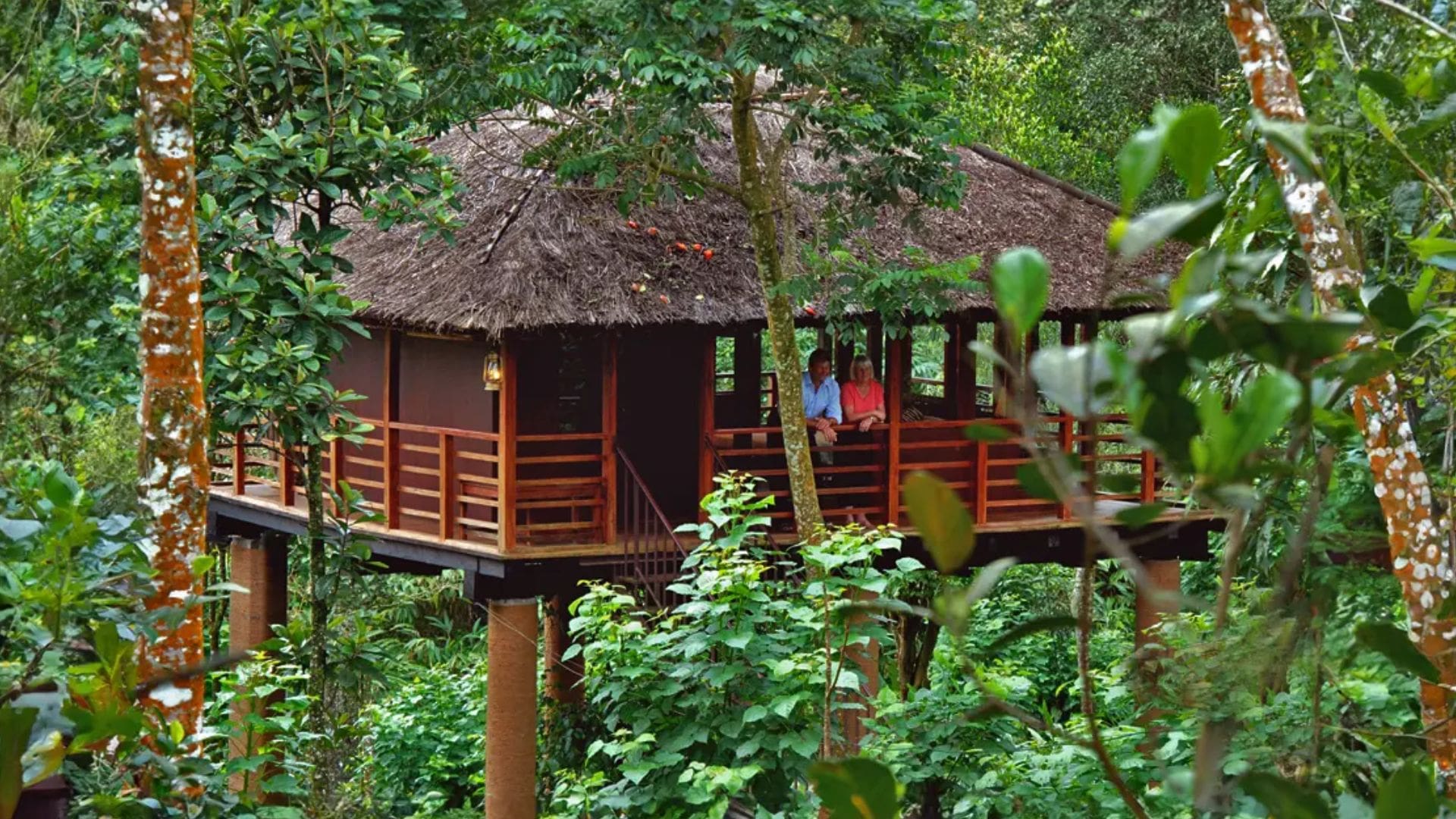 kerala-tree-houses