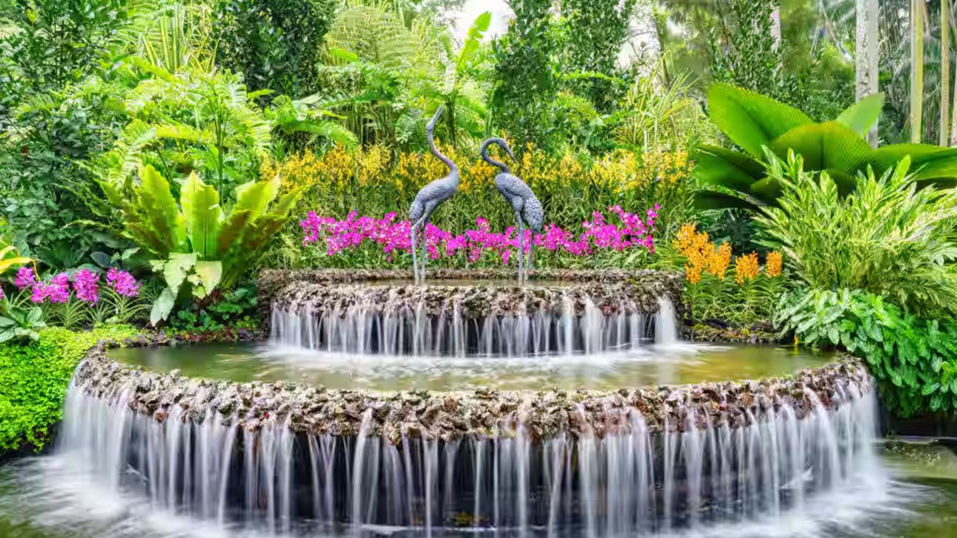 orchid-garden-vagamon