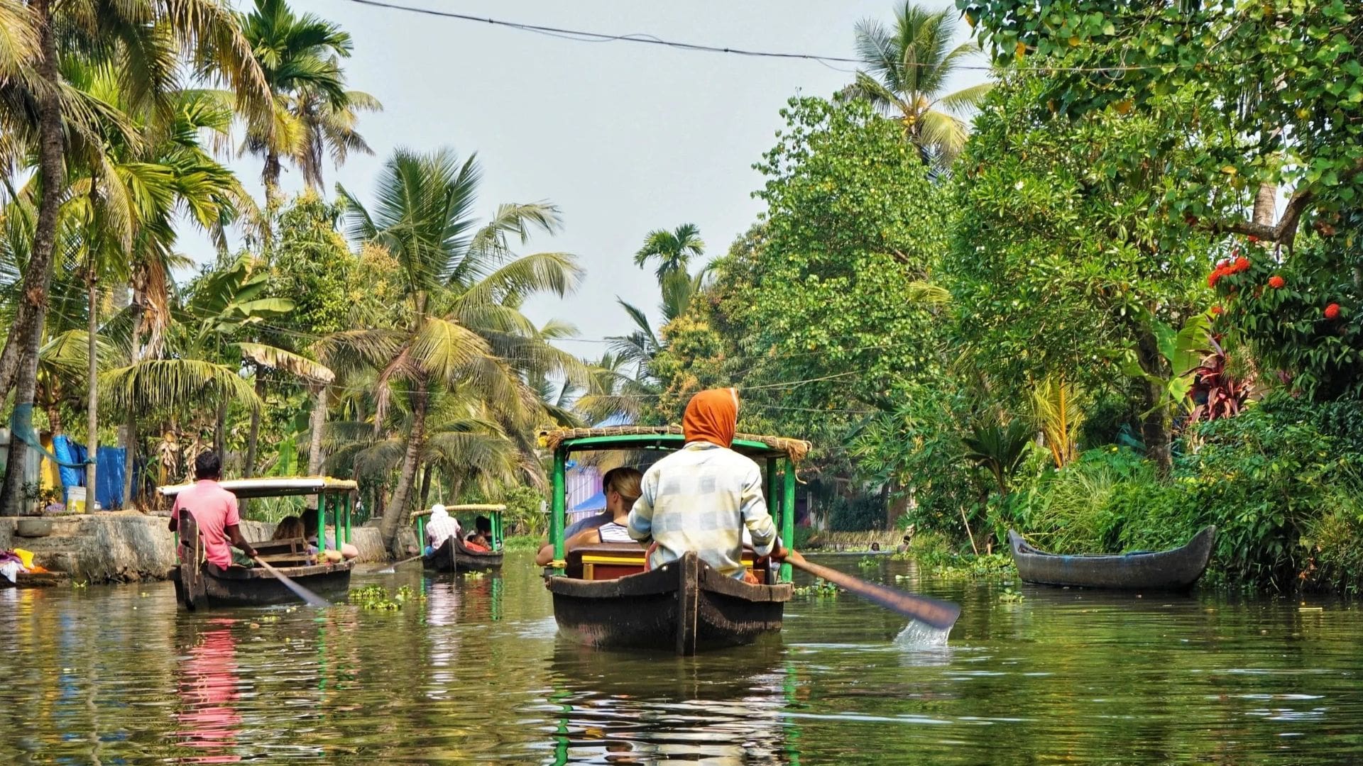 alleppey-backwater
