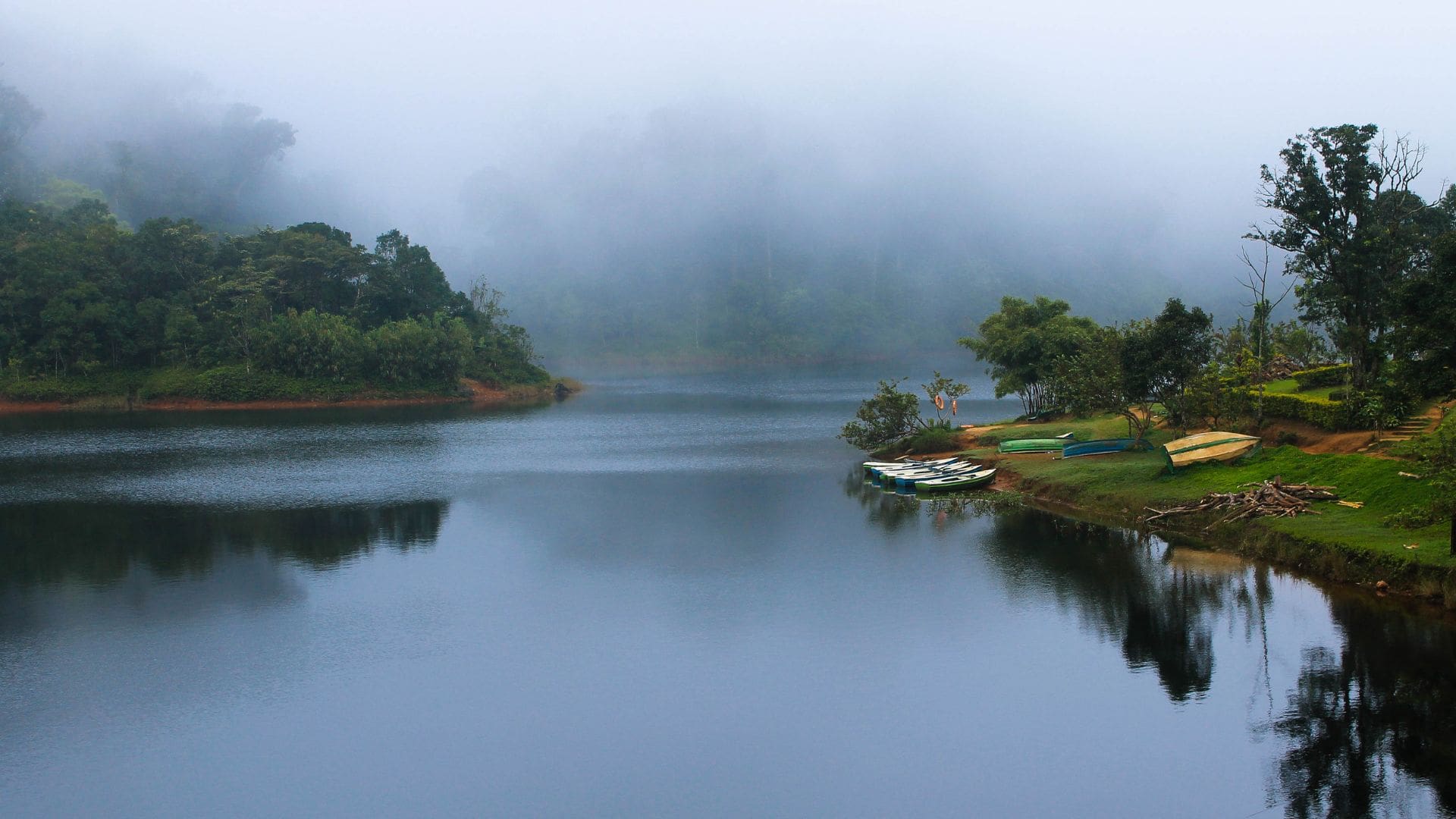 gavi-kerala