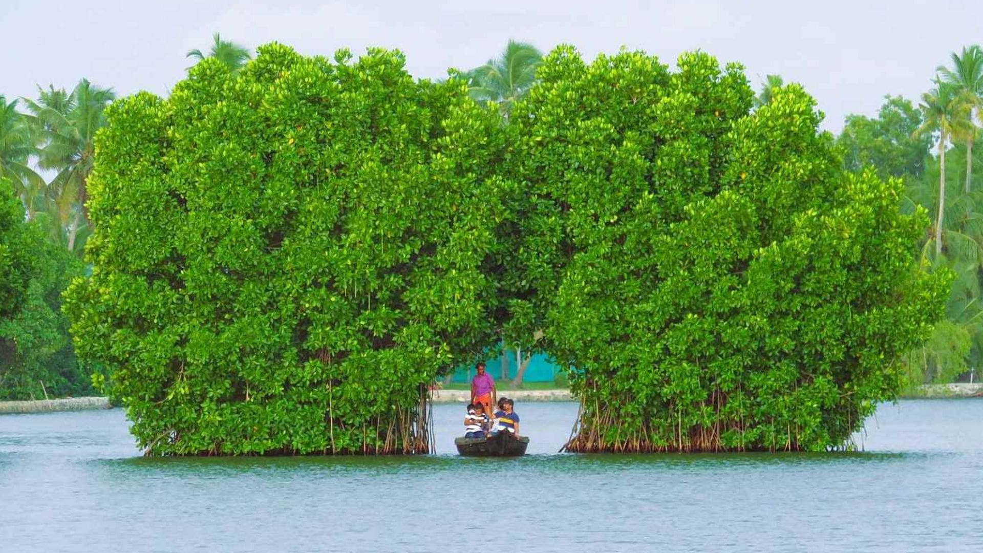 munroe-island