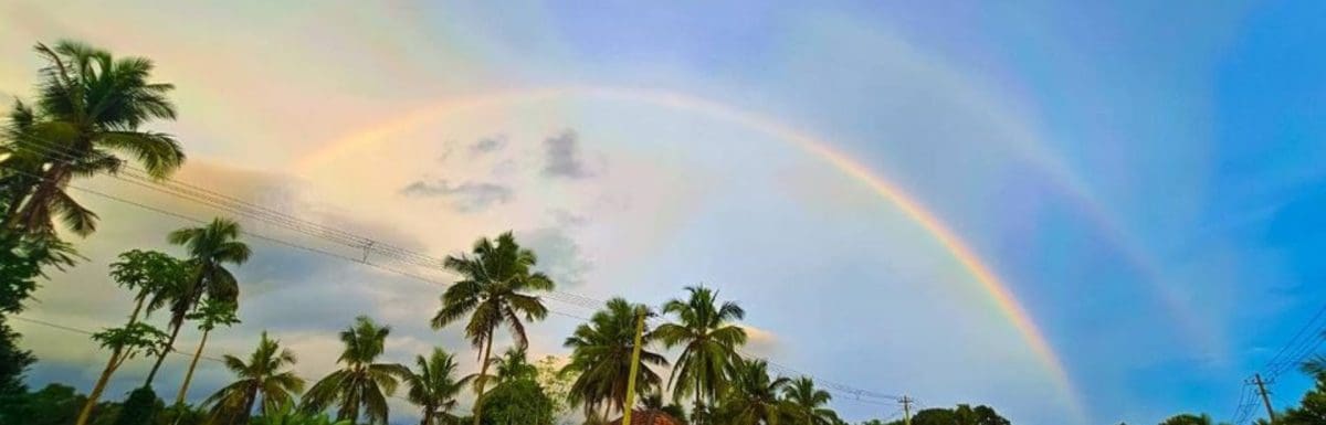 rainbow-kerala