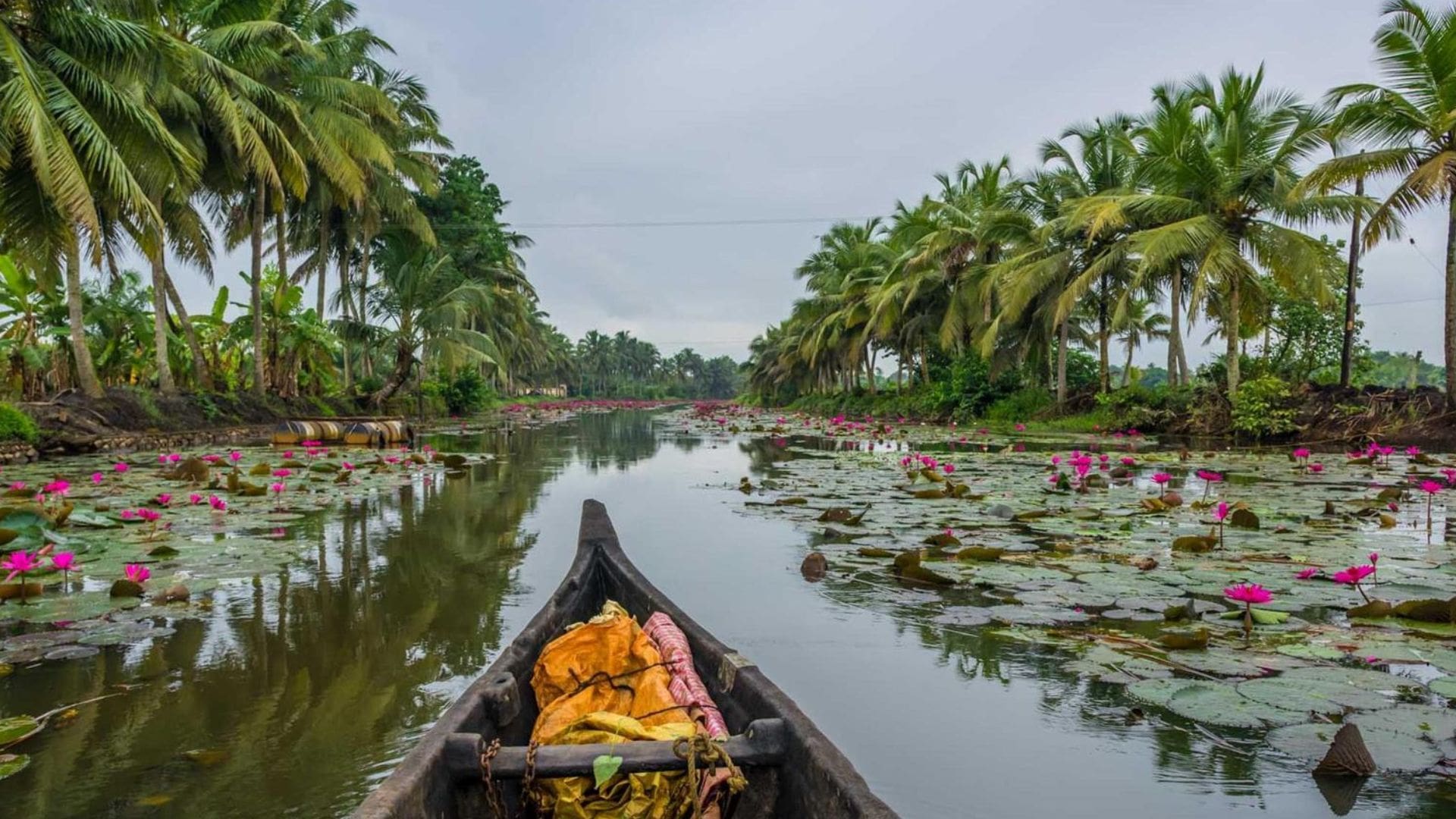 kerala-in-november-kumarakom